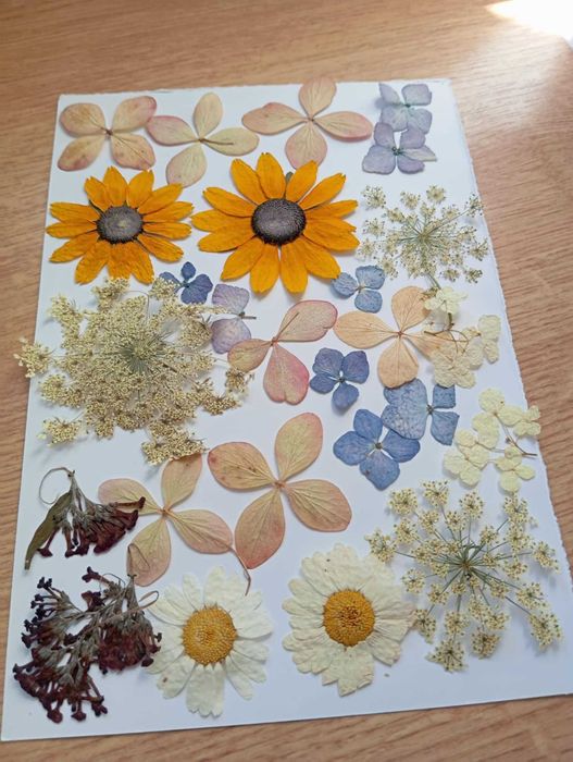 Ładne kwiaty suszone sprzedam