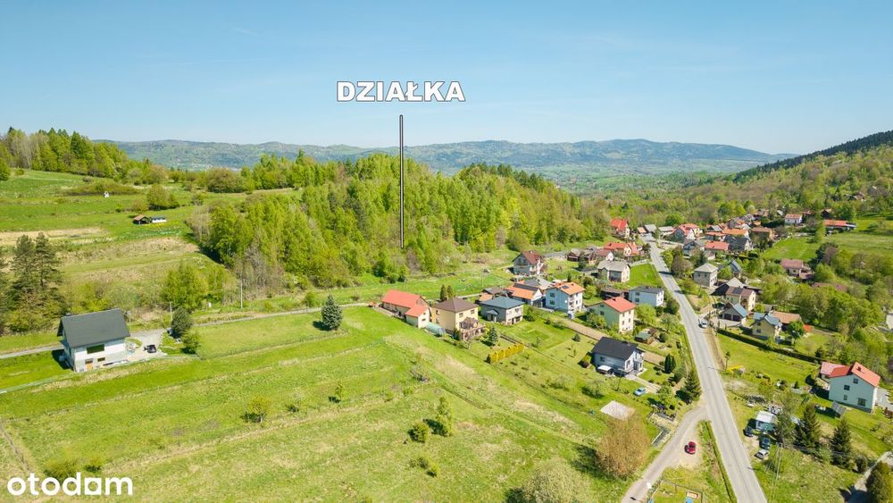 Zdjęcie 2