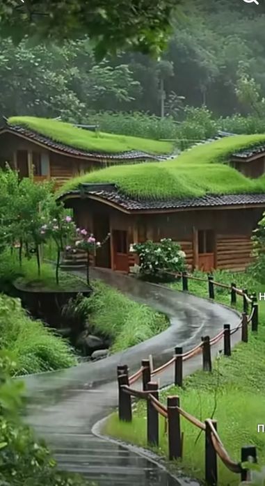 Ваша мрія !!!Старовинна садиба  в Центрі  міста з великою ділянкою