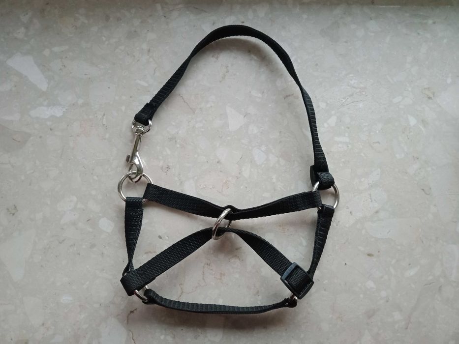 Kantar dla kóz, ogłowie, uprzęż