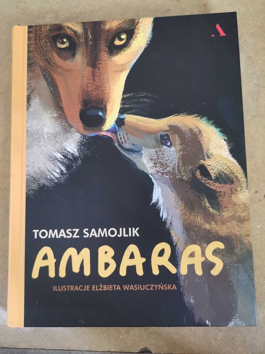 Tytuł książki ,,Ambras''