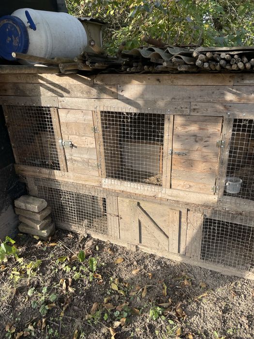 Кролячі клітки, клітки для кролів терміново пишіть