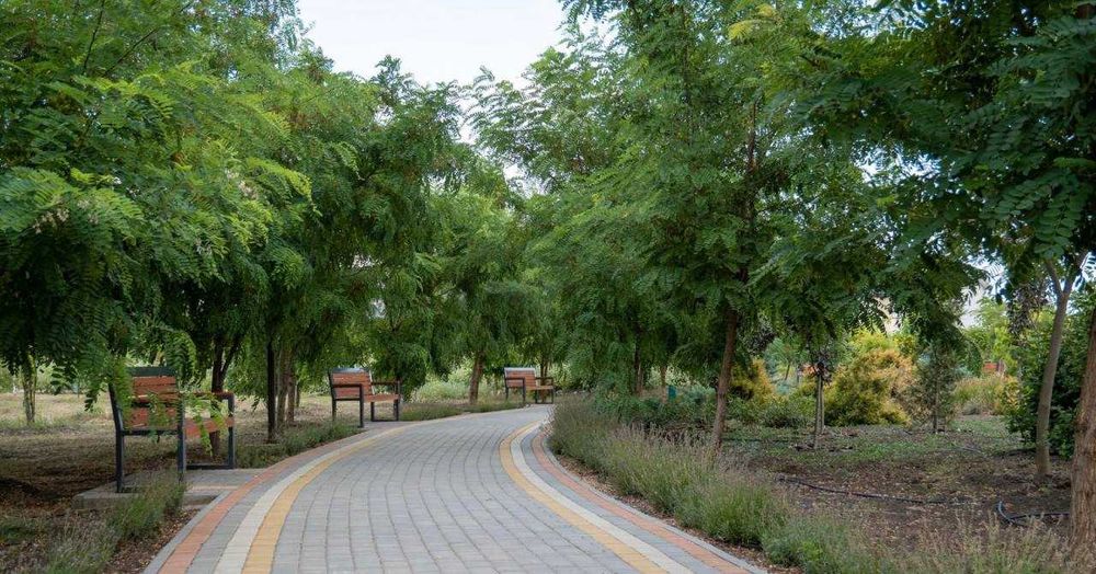 House by the address (area 136 m²) - Atlanta.ua - photo 22