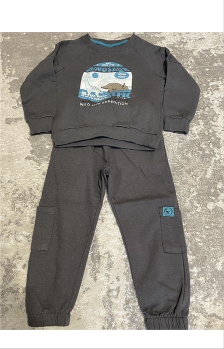 Костюм, кофта, штани, світшот, тостовка