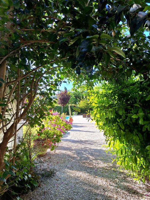 Piscina 6x12 metros de água salgada