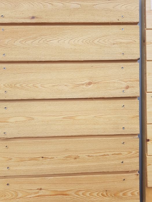 Elewacja Zetka Modrzew Syberyjski