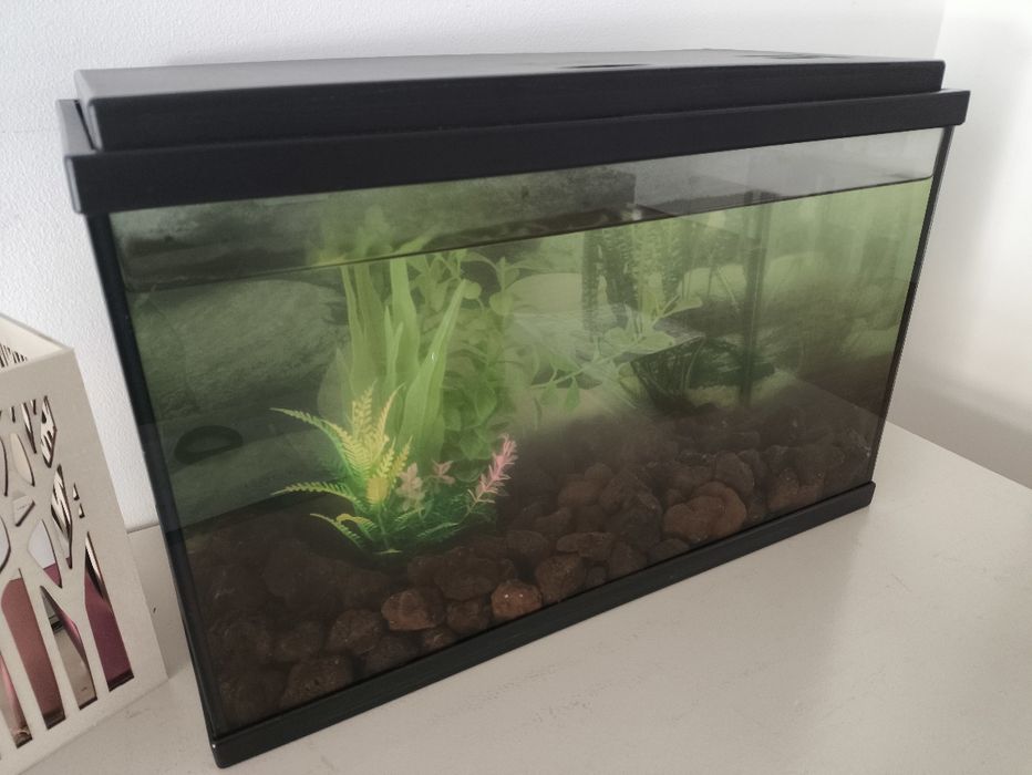 Aquário 40 x 25 x 20