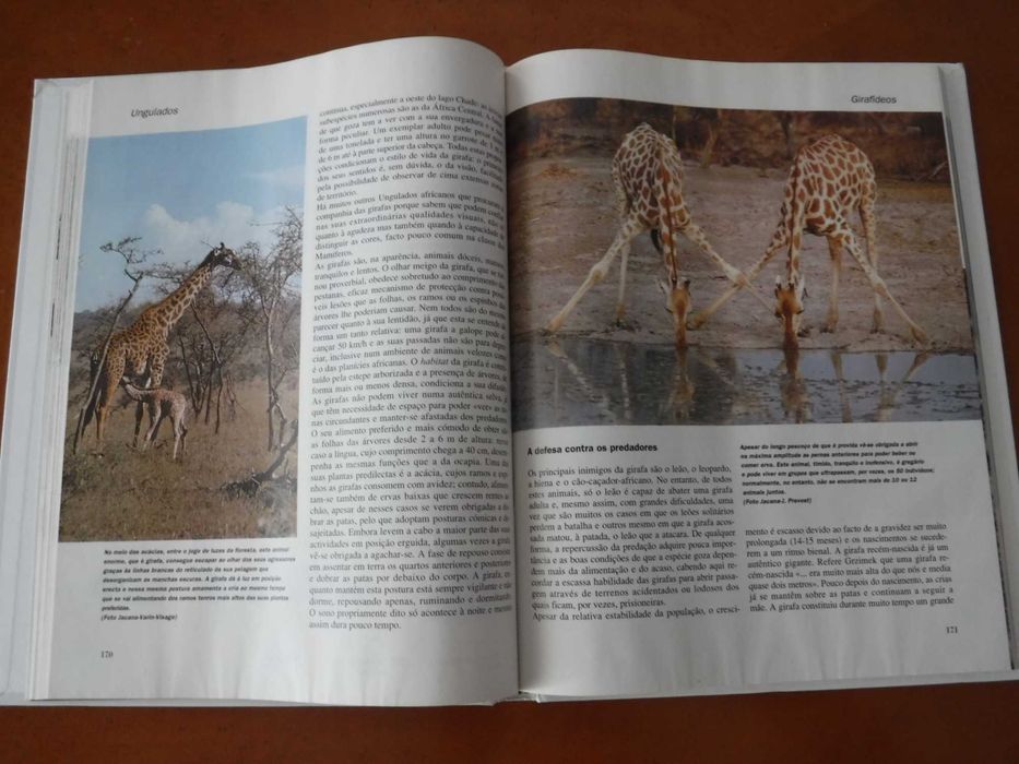 Os Animais - Público e Planeta Agostini