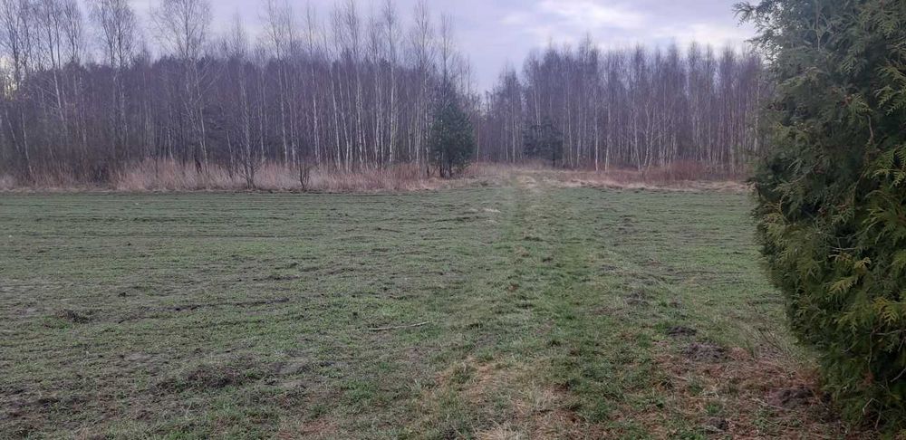 DZIAŁKA TEREN PRODUKCYJNO - USŁUGOWY. 10 km od Mińska Mazowieckiego. - Widok 5