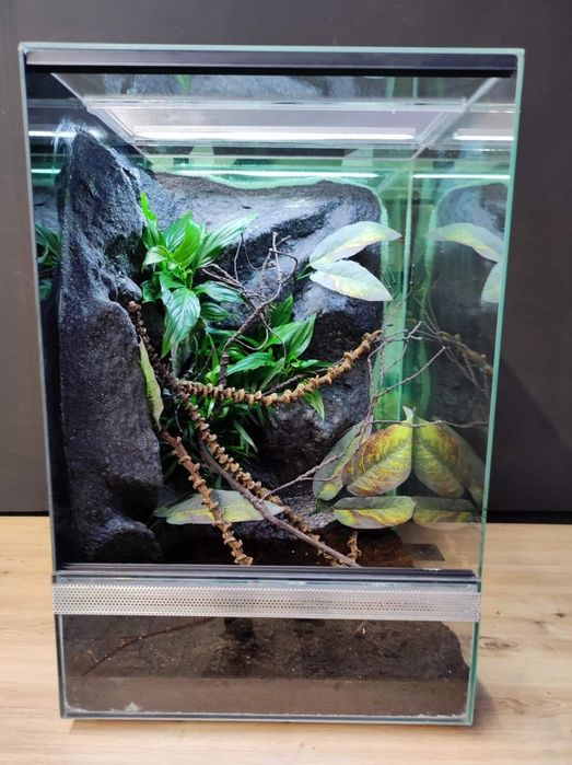 Terrarium szklane gekon żaba modliszka KOŚCIAN