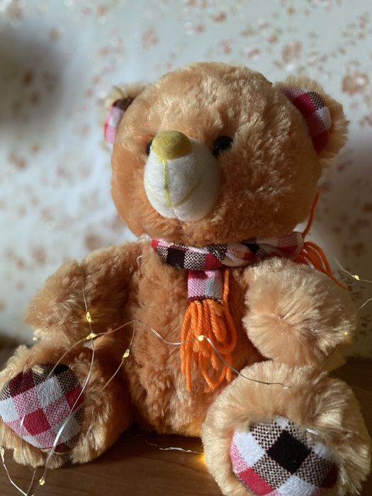 Мʼяка іграшка ведмедик