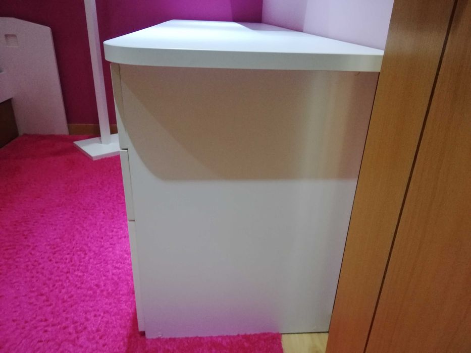 Secretária elegante robusta