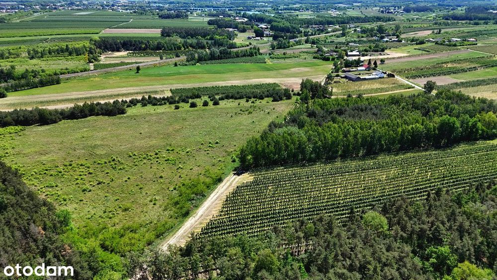 Działka 3,70 ha przy lesie- Żurawka, gmina Biała Rawska - Więcej