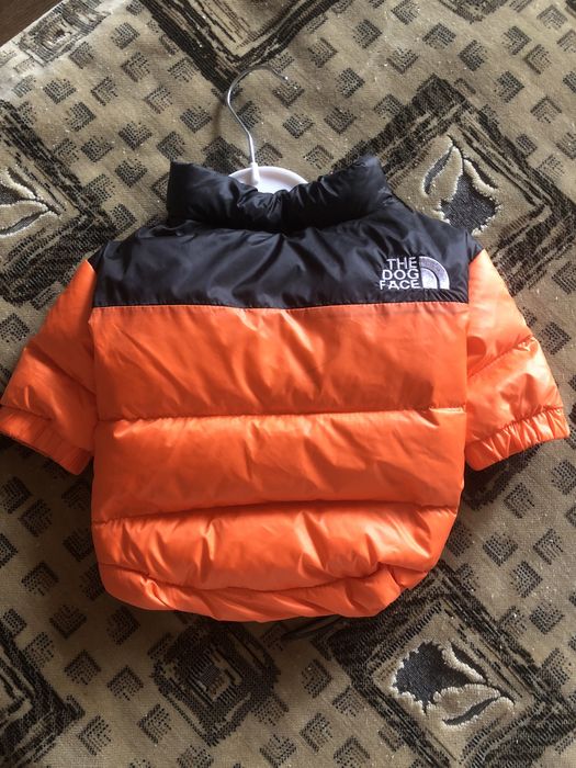 Одежда для собак