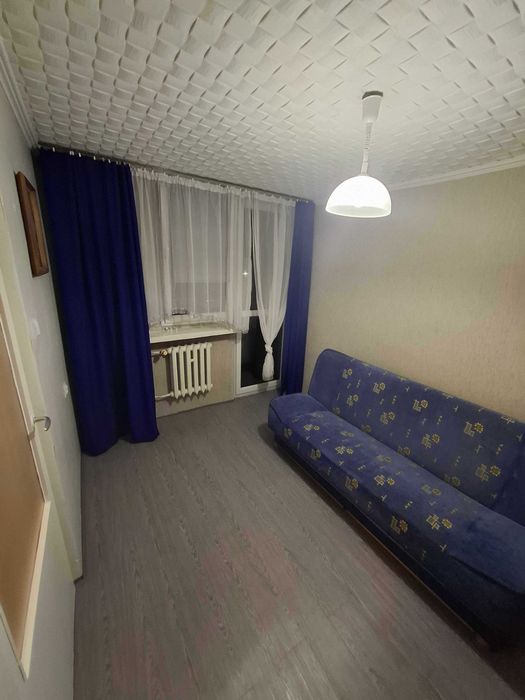 Zdjęcie 8