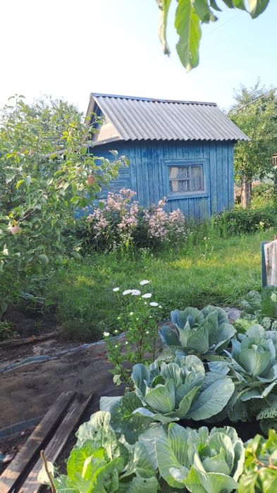 Продам дачу на Білопільській