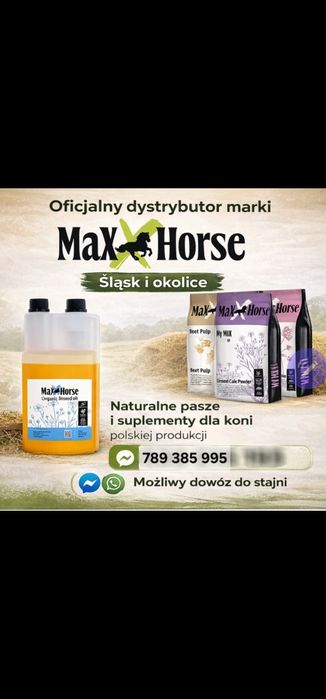 Zamówienie pasz I suplementów Maxx Horse
Jako dystrybutor marki Maxx H