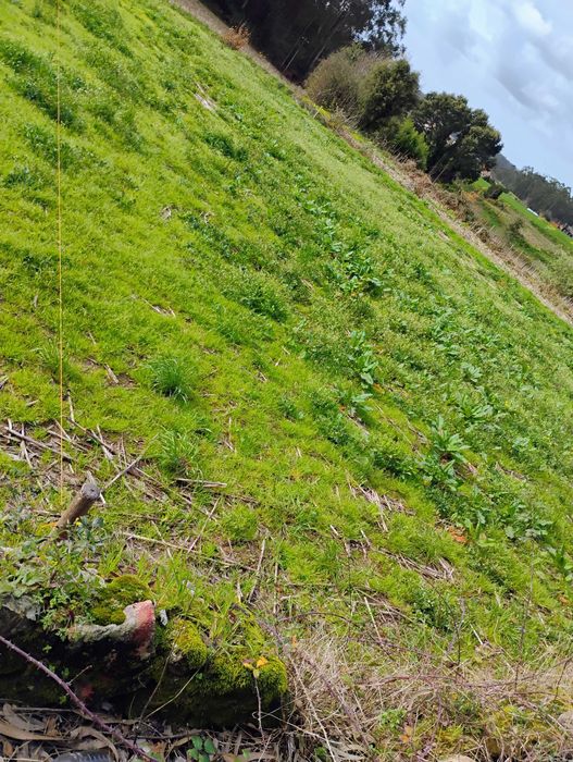 Vendo terreno urbano para construção de moradia a quatro frentes..