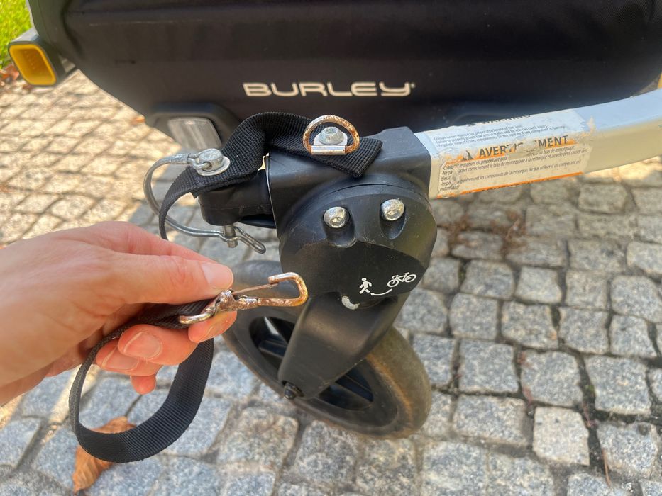 Burley D’LITE X [EN]: bike trailer and stroller (double) [PT]: reboque para bicicleta e carrinho de bebé (duplo)
