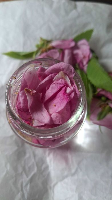 Krem odmładzający przeciwzmarszczkowy