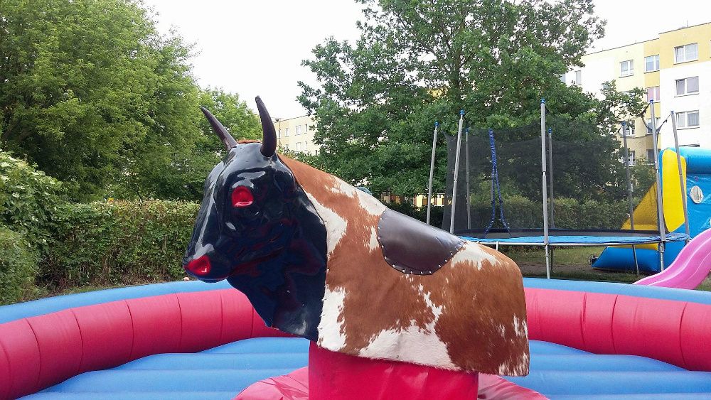 Byk Rodeo z dmuchaną areną