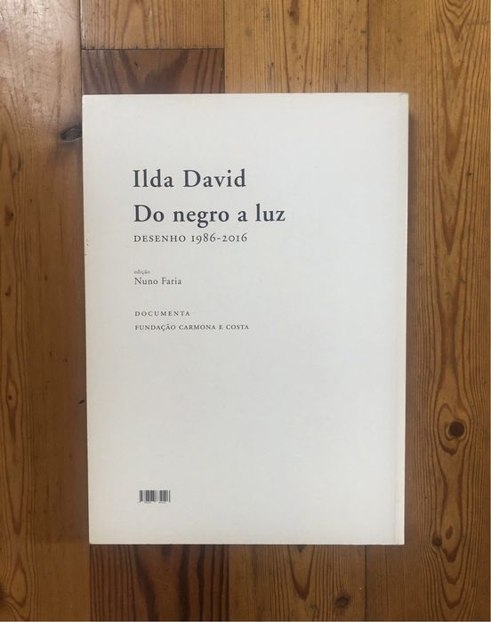 Livro Do Negro a Luz de Ilda David