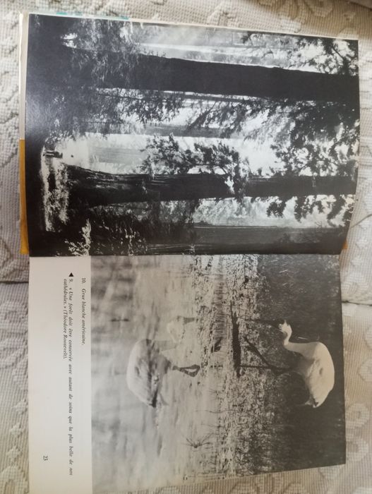 Avant que Nature Meure - Jean Dorst