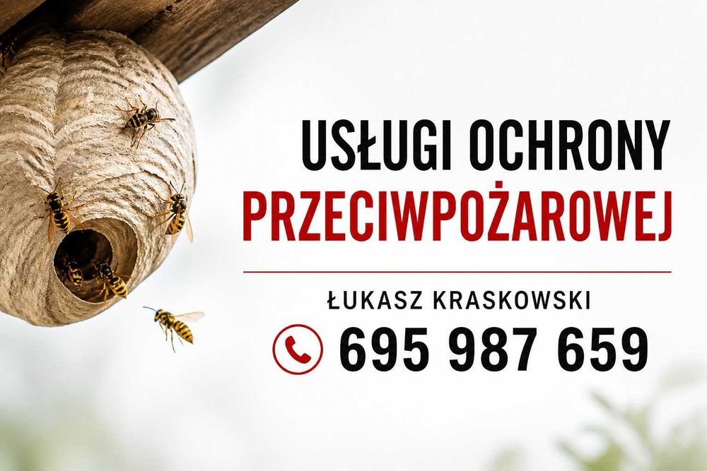 Usuwanie gniazd os i szerszeni – szybko, skutecznie i bezpiecznie