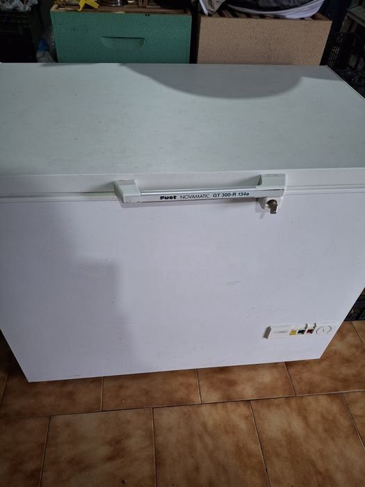 Arca congeladora orizontal 282 litros