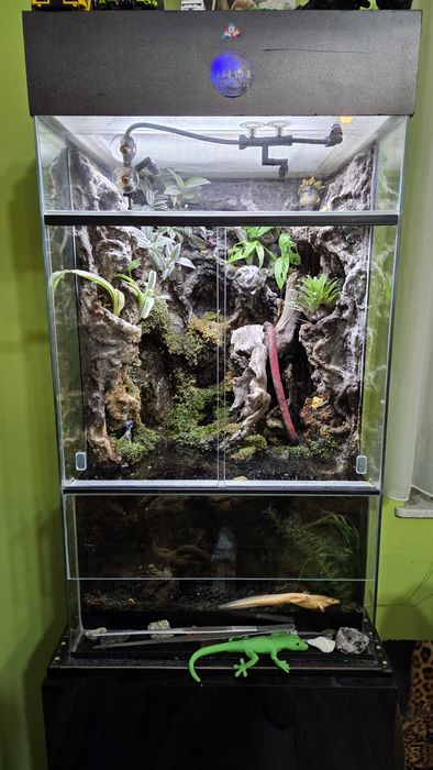 Paludarium Terradise 50x50x80