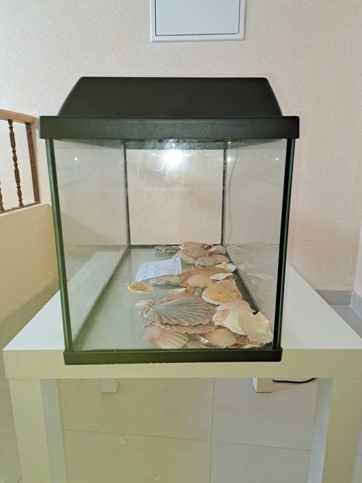 Aquário grande com equipamento para peixes de água quente