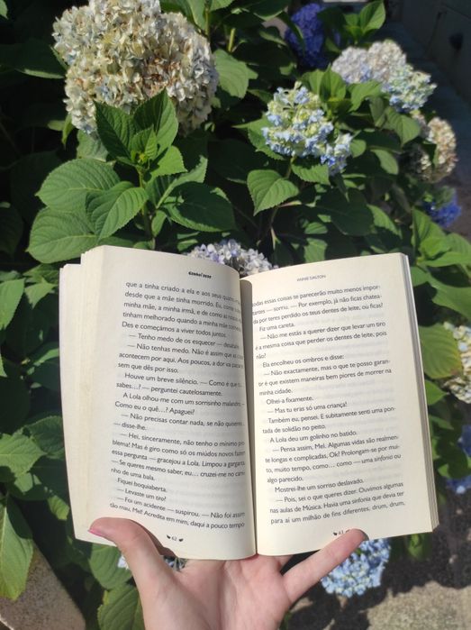 Livro "Ganhei Asas"