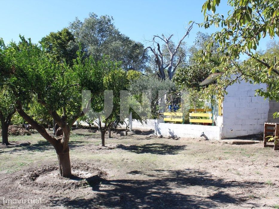 Quinta - Reguengo e São Julião - Um refúgio entre o campo e a serra!