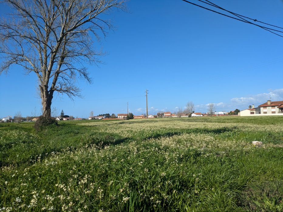 Terreno Rústico em Pardilhó