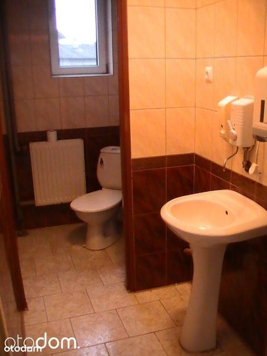 lokal do wynajęcia