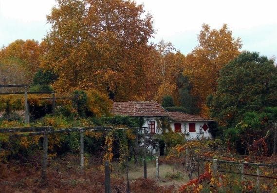 Quintinha para restauro a 20 minutos do Porto