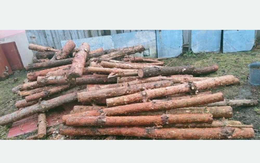 Owocowe jabłoń grusza do wędzenia; lisciaste kominkowow Orzeche