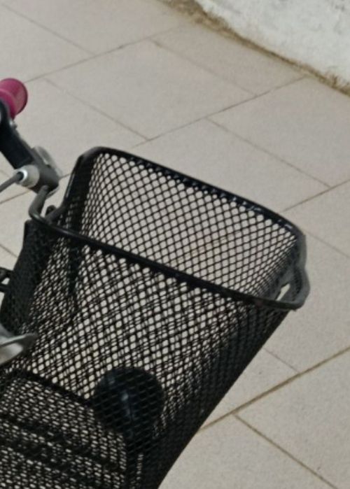 Bicicleta Menina