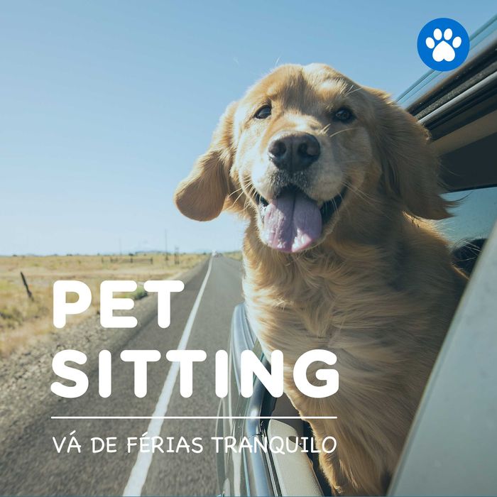 Dog walking, Pet sitting, Pet Care, Passeios de animais, Levamos o seu animal ao veterinário,