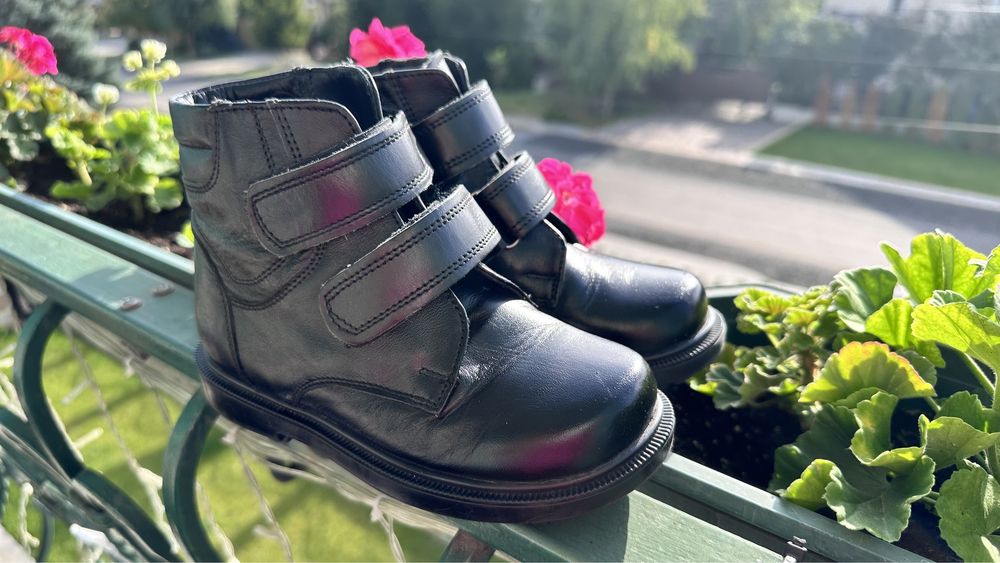 Чобітки зимові