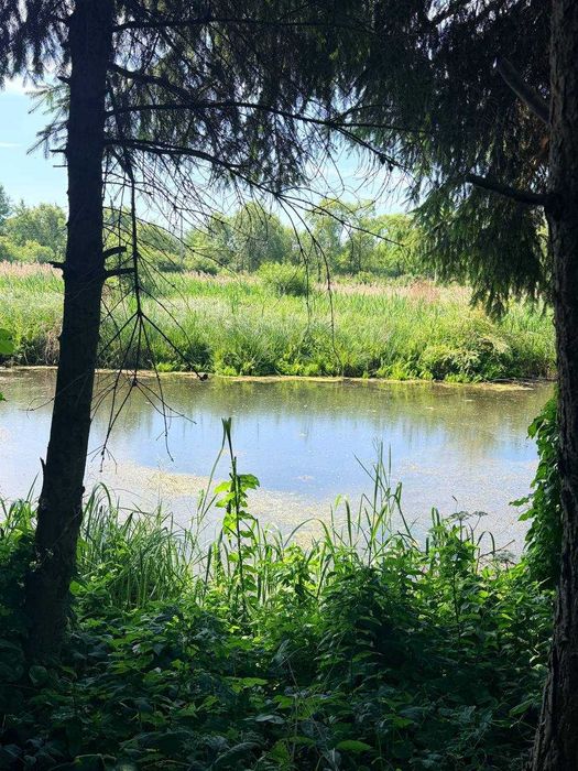 Продаж земельної ділянки село Годовиця