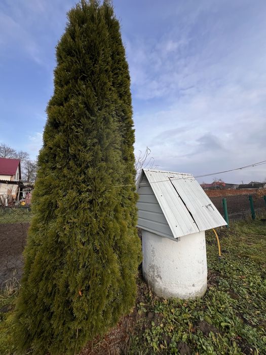 Продаж будинку у Яворівському районі/ с. Чернилява