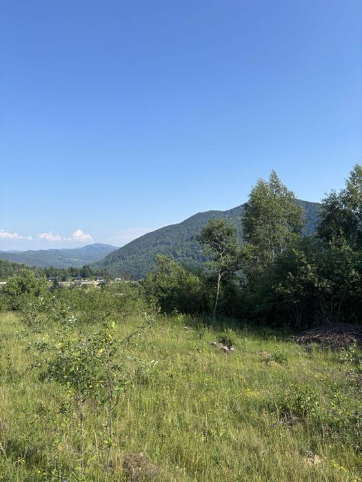 50 сотих під будівництво Тухля