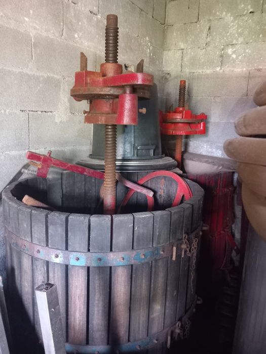 Cubas em inox+ esmagadores de uvas + prensas
