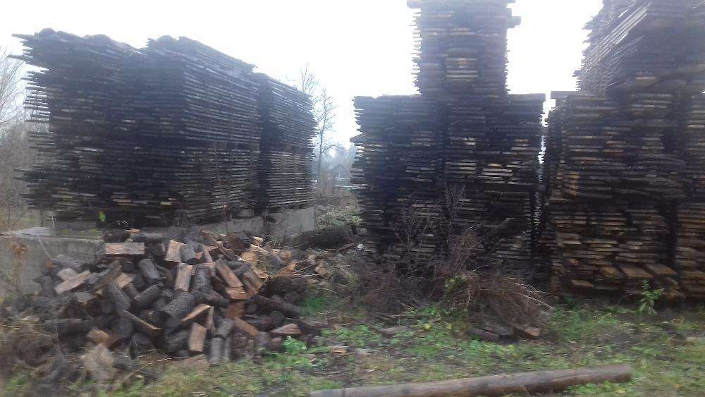 tarcica lipa jesion dąb