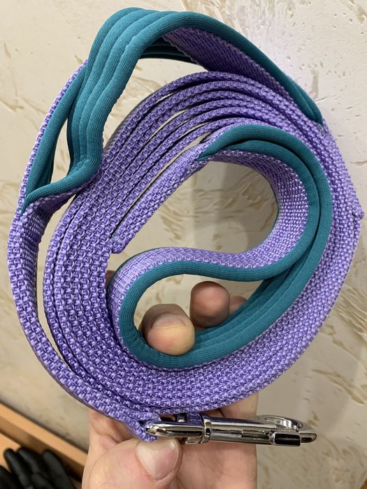 Ошейник и поводок в комплекте