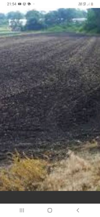 Sprzedam czarnoziem na tony luzem lub na worki 25kg