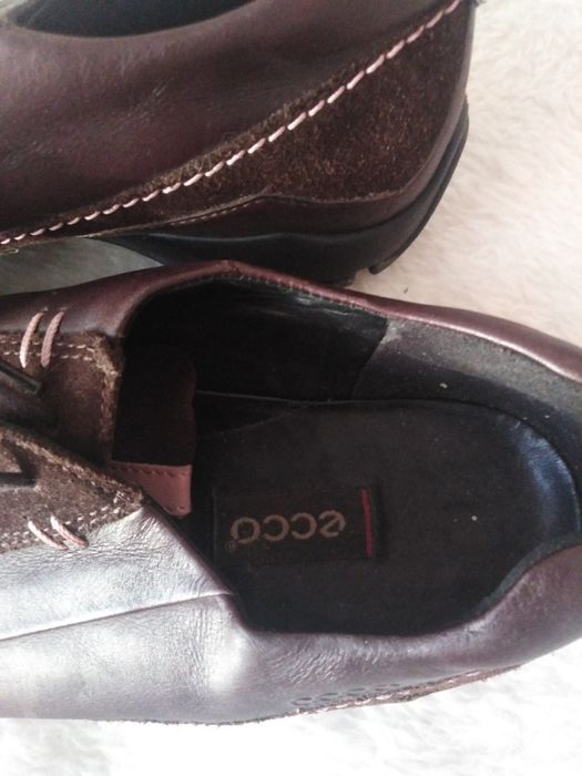 Buty Ecco rozmiar 36