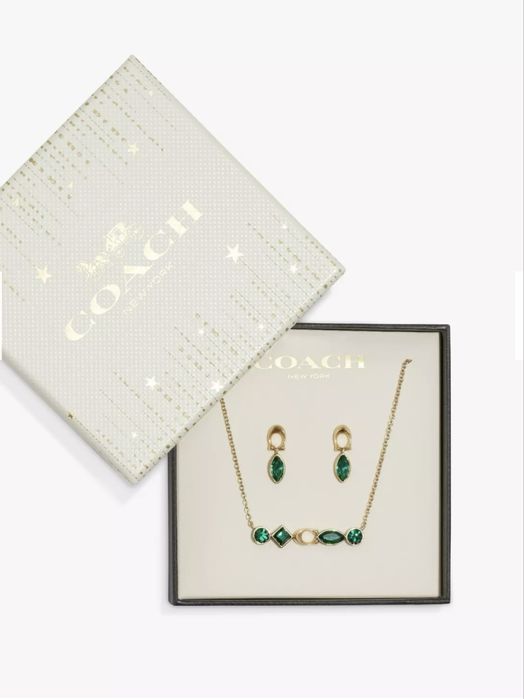 (серьги + колье) COACH
