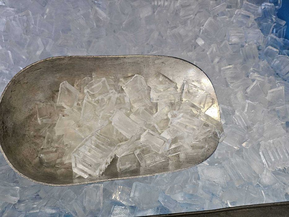 Máquina de gelo para peixe - 300 kg /24H